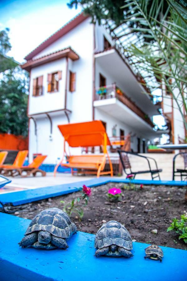 Kaliptus Hotel Κεμέρ Εξωτερικό φωτογραφία